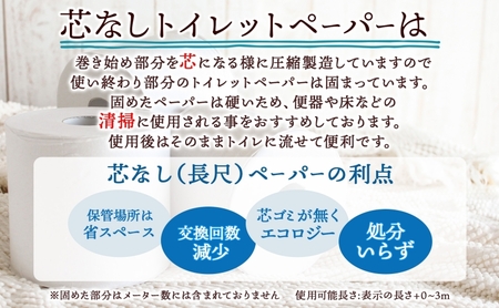 定期便 12ヶ月 連続12回 芯なし トイレットペーパー 110ｍ シングル 12ロール×6袋 計72ロール 天使の時間 紙 ペーパー 日用品 消耗品 リサイクル 再生紙 無香料 厚手 ソフト トイレ