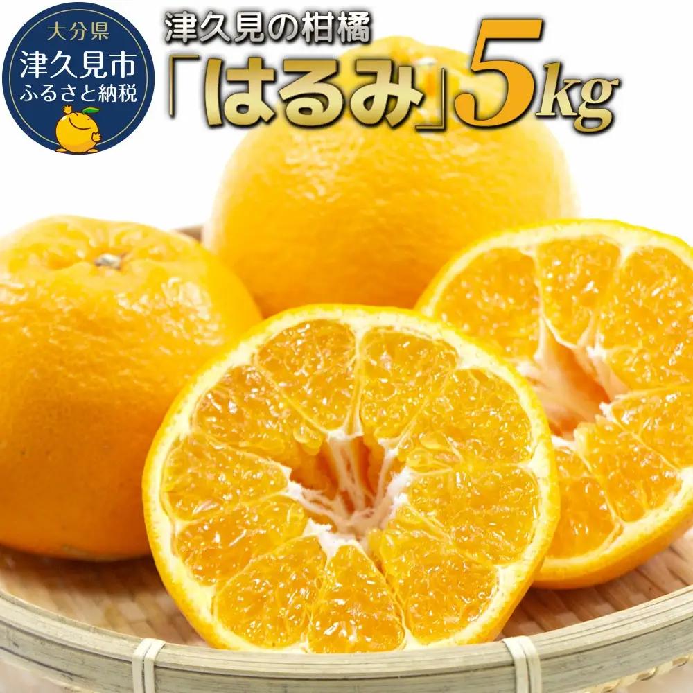 【先行予約】津久見 みかん はるみ 5kg | みかん 津久見市