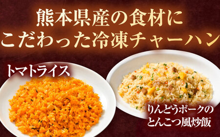 【全6回定期便】熊本県産 こだわり炒飯 バラエティセットB 計2.3kg (230g×10袋) 冷凍食品 炒飯[BHCS040]