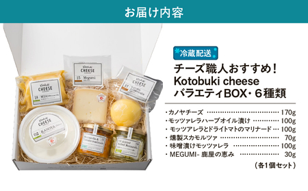1216 バラエティBOX6種類 チーズ職人おすすめ！ KN087-003 チーズ 乳製品