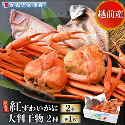 ふるさと納税 越前町 【訳あり】浜茹で 紅ずわいがに 2杯 &amp; 大判干物「赤かれい・あじ」セット【6月発送分】