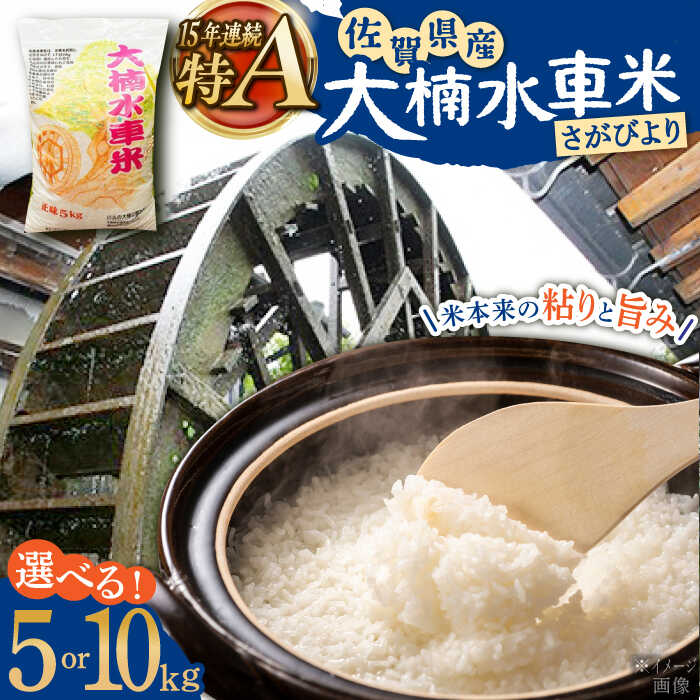 【ふるさと納税】【選べる内容量】令和7年産 新米 大楠水車米 さがびより 5kg・10kg /若木町まちづくり推進協議会 [UBY003]