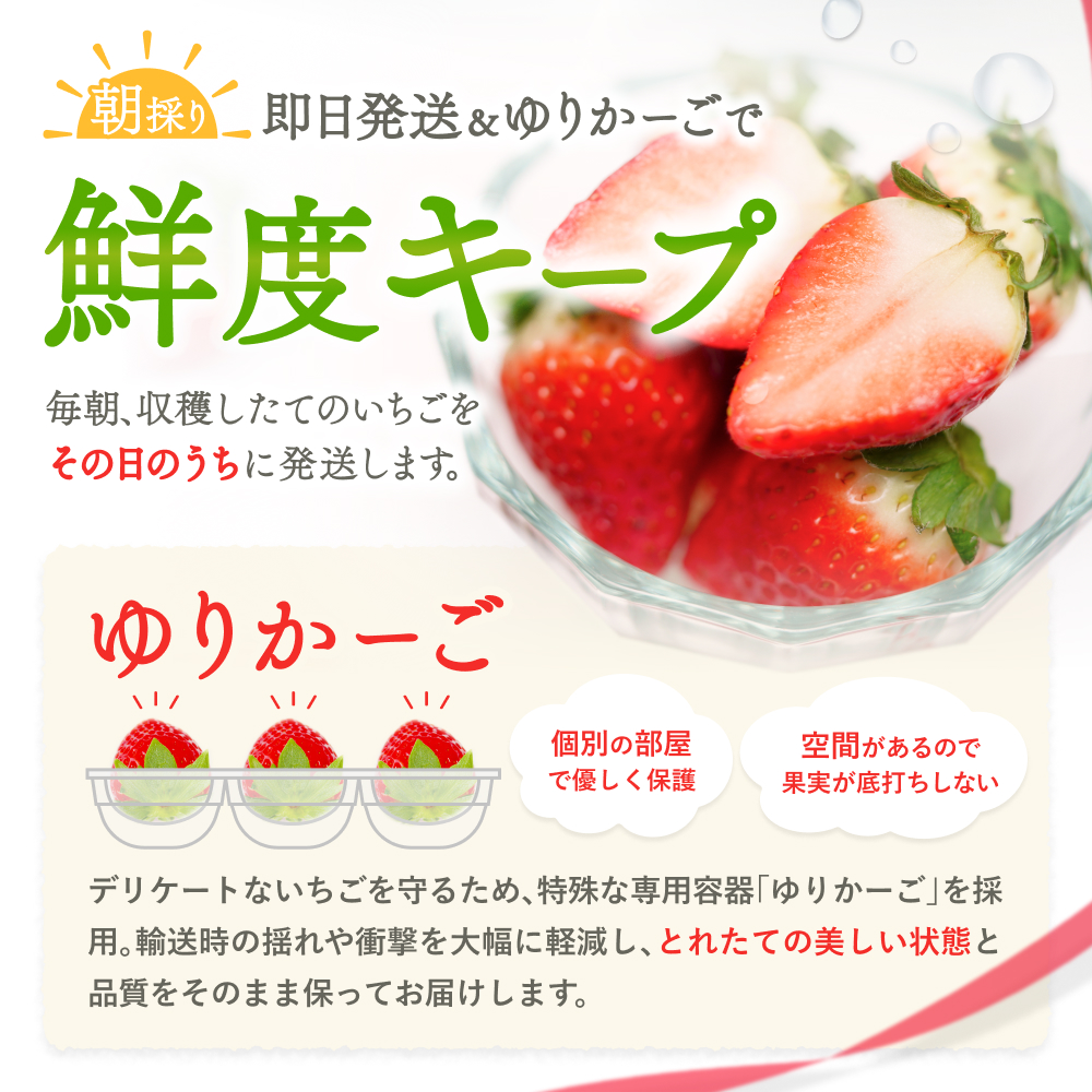 1月~3月発送　葛城市産古都華4パック【ichi0002】_イメージ3