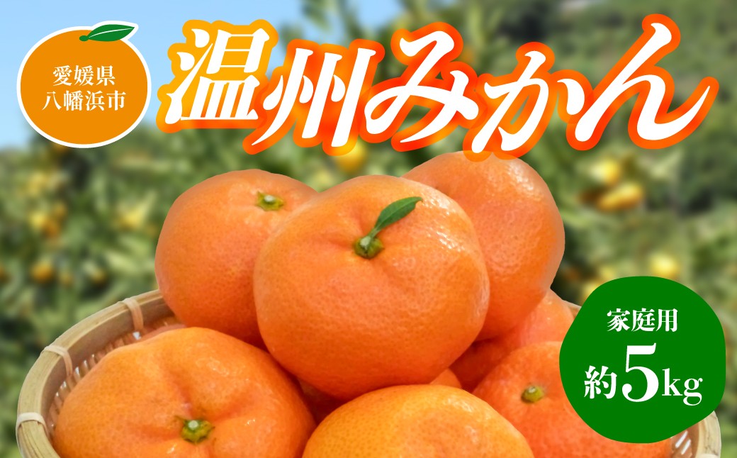 
                  【先行受付】温州みかん＜家庭用＞約5kg【C76-11】【1506321】 YWTAB008
                
