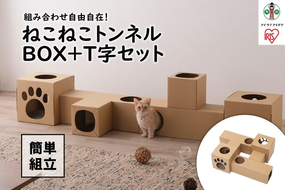 
ねこねこトンネル　ＢＯＸ＋Ｔ字セット P-NTBT
