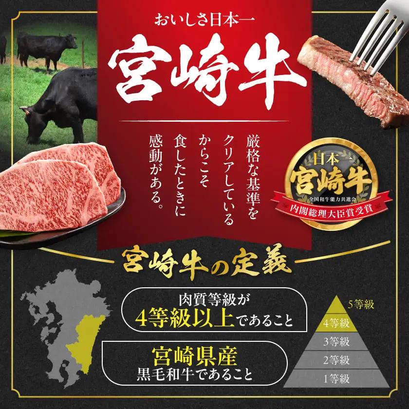 牛肉 宮崎牛サーロインステーキ200g×2枚〔18-4201〕 牛肉