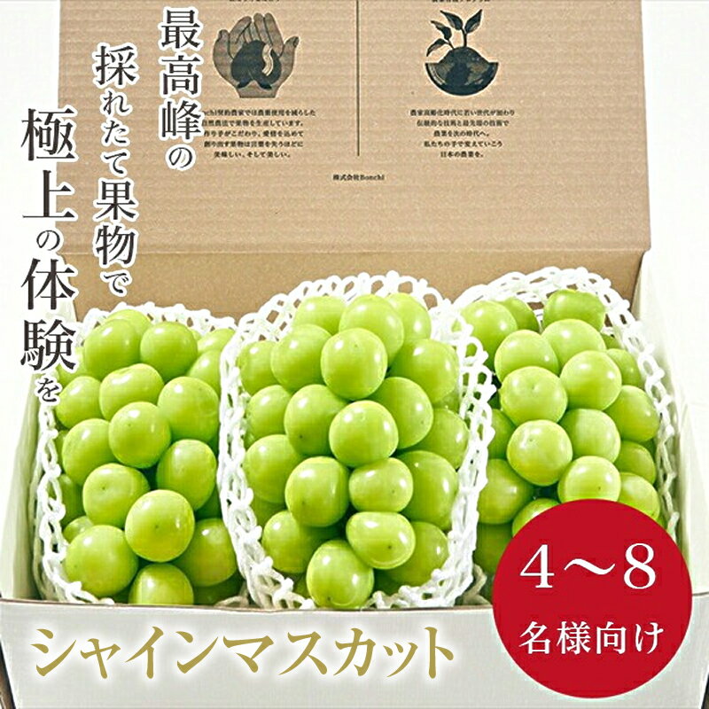 【ふるさと納税】 5-135 ＜先行予約2024年＞南アルプス市産 大粒シャインマスカット 3房入り 約2kg ふるさと納税 おすすめ 山梨県 南アルプス市 送料無料 ALPAL008