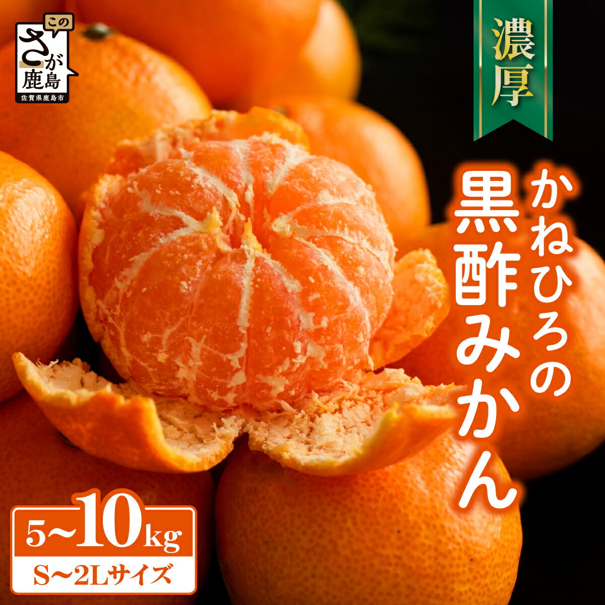 【ふるさと納税】2026年先行予約 数量限定 かねひろの黒酢みかん【5kg 10kg S～2L サイズ別】 《11月下旬～1月上旬頃発送予定》温州みかん ふるさと納税 みかん 5kg 10kg 少量 大容量 フルーツ 甘い 果物 蜜柑 お取り寄せ 農家直送 九州 佐賀県 鹿島市 送料無料 A-230