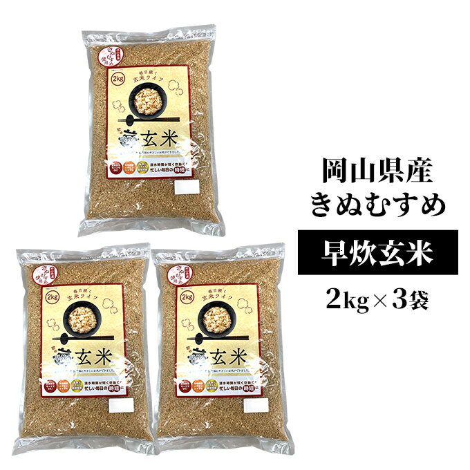 【ふるさと納税】令和7年産 早炊 玄米 きぬむすめ 2kg×3袋 岡山県産　お米 国内産 ご飯 おにぎり お弁当 和食 国産 産地直送 玄米食 玄米の栄養素