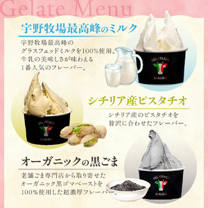 パティシエ　セレクション　ジェラート6個セット