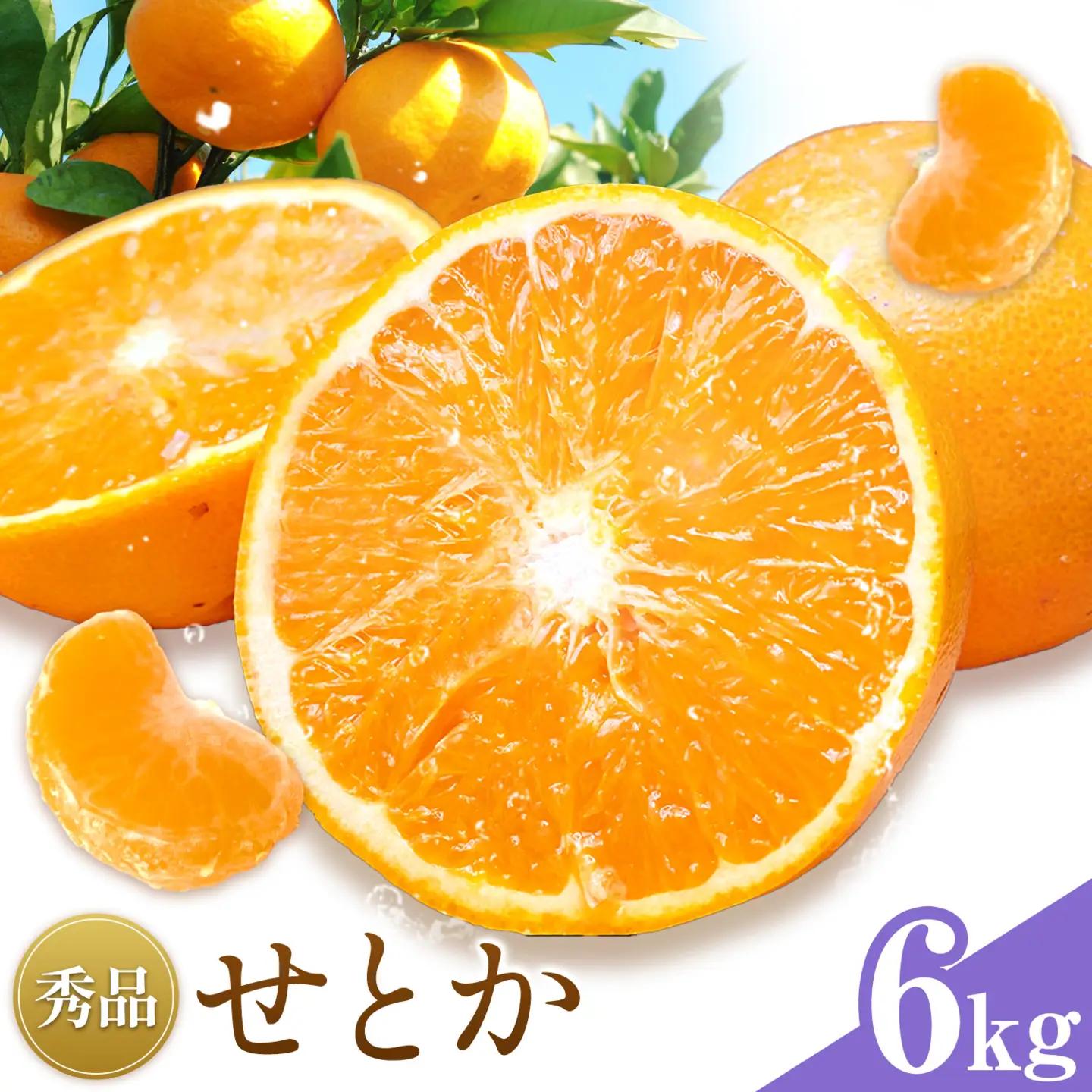 せとか 秀品 6kg(24-28玉前後) 