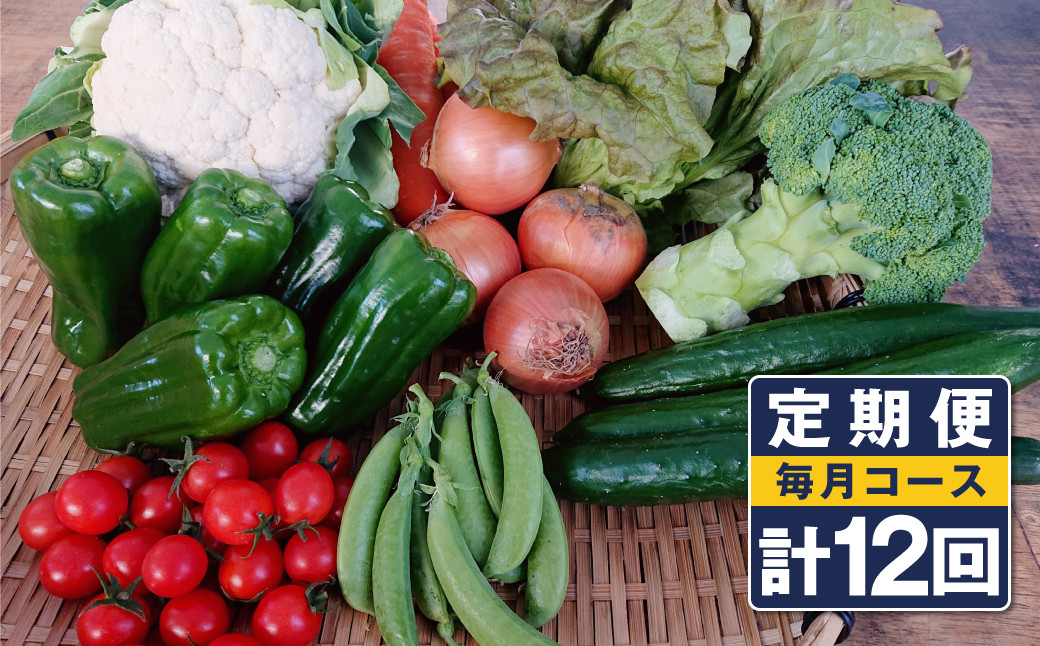 
【定期便 12回コース】野菜のプロ40年が届ける こだわり野菜セット！ 7～8品目 詰め合わせ
