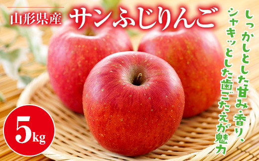 FYN9-385 ご家庭用 山形県産 サンふじりんご 5kg 2025年11月中旬から順次発送 林檎 りんご リンゴ 秋果実 果物 くだもの フルーツ 自宅用 家庭用 産地直送 期間限定 山形県 西川町 月山