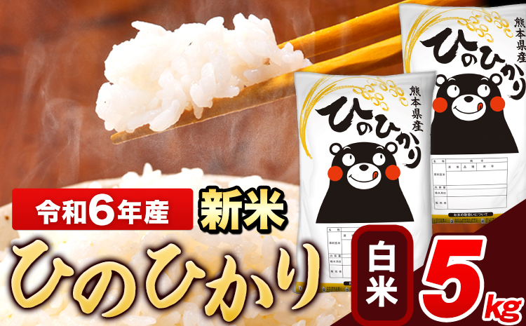 令和6年産 新米 ひのひかり 白米 5kg(5kg×1袋)《11月-12月より出荷予定》 熊本県産 米 精米---ng_hn6_af11_24_10500_5kg_h---