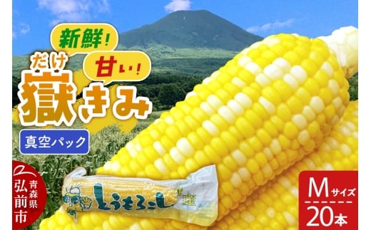 嶽きみ真空パック Mサイズ 20本 しらかみラボ