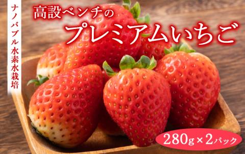ナノバブル水素水栽培 - 高設ベンチのプレミアムいちご とちあいか 2パックセット ※2024年1月～4月頃に順次発送予定 ※北海道・沖縄・離島への配送不可 ※着日指定不可