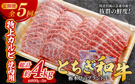 ＜定期便5回＞とちぎ和牛の特上カルビ 焼肉用 800g × 5回【栃木県共通返礼品】| 和牛 定期便 栃木県 茂木町