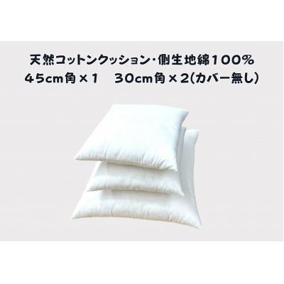 ふるさと納税 近江八幡市 寝室やリビングをおしゃれに飾るベッドクッション3枚組(無地、カバーなし) |  | 01