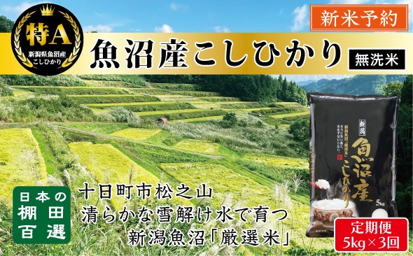 
            【無洗米】【令和７年産新米予約】【3か月定期便】10月発送開始《食味鑑定士厳選》日本棚田百選・十日町（魚沼）産こしひかり 5kg全3回
          
