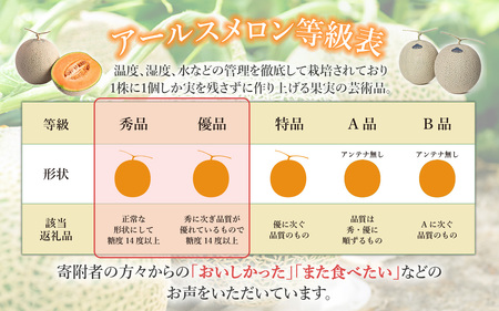 茨城県産アールスメロン「赤」約2.5kg（2個）【2025年9月上旬～10月上旬ごろ発送予定】【 メロン 茨城県産 メロン 下妻 メロン 果物 メロン フルーツ 贈り物 プレゼント 高級メロン メロン