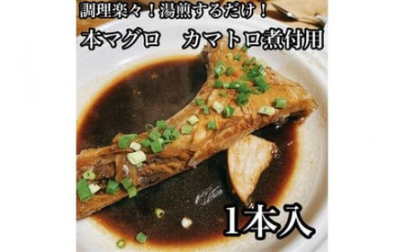本マグロのカマトロの煮付け 1本【生から湯煎で仕上げる】【本鮪 鮪 煮物 日本酒 焼酎 お取り寄せ 希少部位 御中元 お中元 お歳暮 父の日 母の日 贈り物 マグロ マグロ 【ふるさと納税】【神奈川県小田原市】