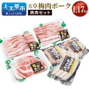 【ふるさと納税】（飼育期間中）完全無薬！梅肉エキス肥育 天草梅肉ポーク 焼肉セット 合計1.17kg 肉 お肉 焼き肉 詰め合わせ 詰合せ 熊本県産 上天草産 九州産 梅肉 豚肉 バラ肉 ロース ウィンナー 焼肉 冷凍 送料無料