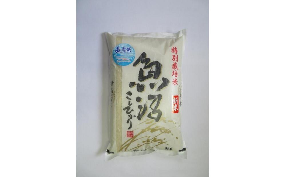 令和7年産先行予約　無洗米　魚沼産コシヒカリ特別栽培米　5kg