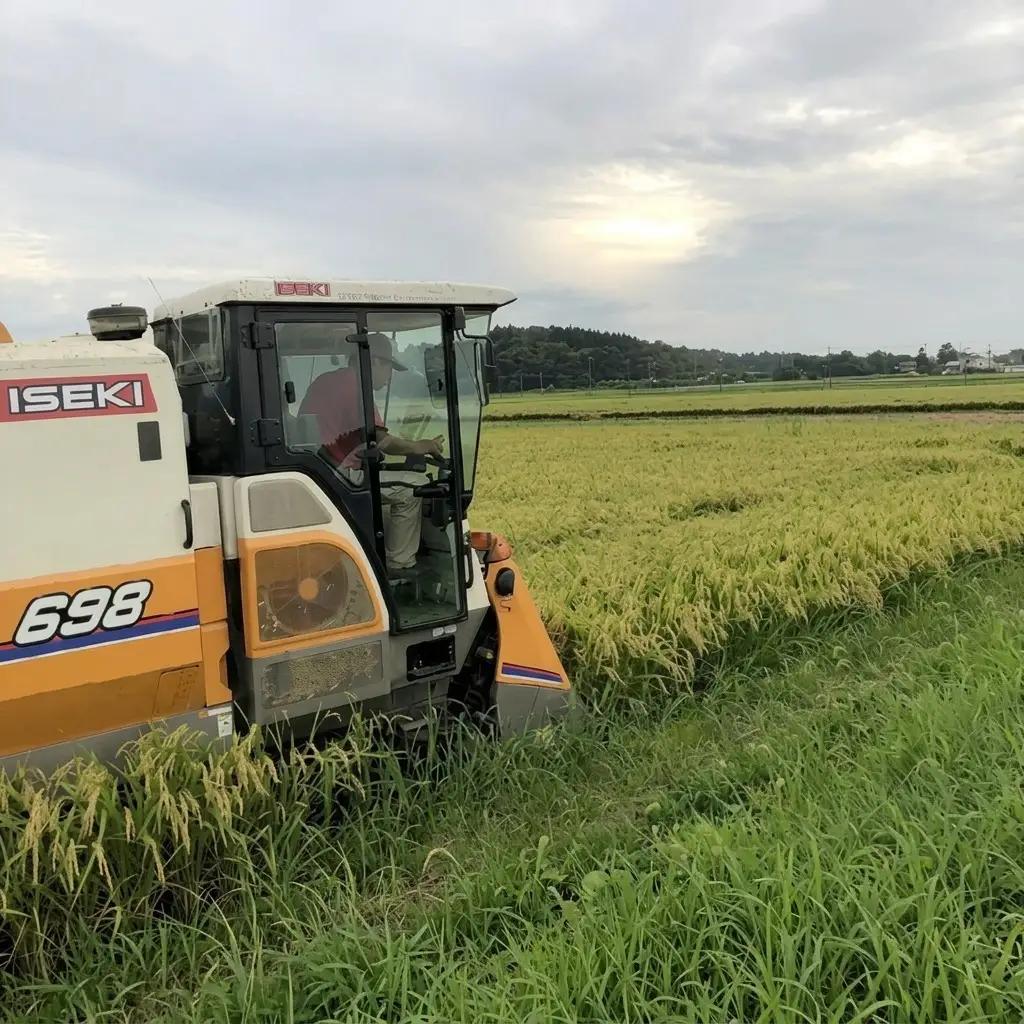 コシヒカリ 精米 5kg 美味安全栽培 コシヒカリ