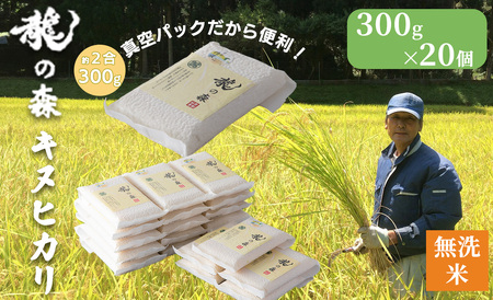 【新米】京都・日吉町 吉田農園　龍の森 真空パック無洗米 キヌヒカリ 20個（300ｇ×20）[高島屋選定品］041N639