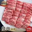 【ふるさと納税】 飛騨牛 赤身 焼肉用 600g (300g×2）牛肉 国産 焼き肉 A4等級以上 A4 A5 等級 高山米穀 岐阜県 白川村 白川郷 贅沢 冷凍 30000円 [S551]