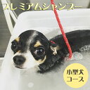 【ふるさと納税】 プレミアムシャンプーコース ?小型犬コース? ペット シャンプー ドッグ 家族 犬用 ペット用 Mahalo DOG