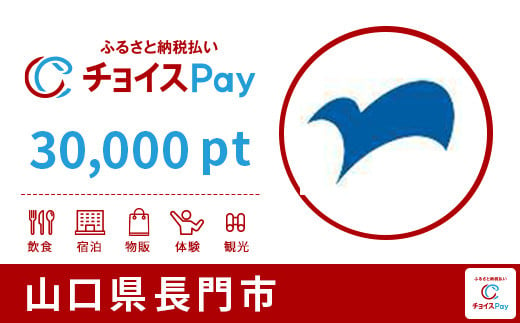 
長門市チョイスPay 30,000pt（1pt＝1円）【会員限定のお礼の品】
