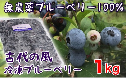 
            数量限定 『古代の風』無農薬ブルーベリー１㎏ ＜1-56＞
          