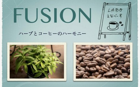 【先行受付／2025年5月以降発送】ハーブとコーヒーのハーモニー 6種類各1袋 / コーヒー コーヒー コーヒー コーヒー コーヒー コーヒー 珈琲 ハーブ / 恵那市 / コーヒーロースト恵那店 [AUEJ001]