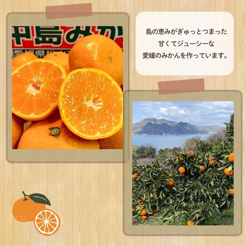 訳あり 家庭用 睦月島 の みかん 約5kg | わけあり みかん 【2026年12月上旬頃から順次発送】 【HYN004】