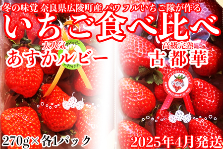 いちご好きのためのいちご 奈良県ブランドいちご 「古都華」「あすかルビー」2025年4月発送 / いちごいちごいちごいちごいちごいちごいちごいちごいちごいちごいちごいちごいちごいちごいちごいちごいちごいちごいちごいちごいちごいちごいちごいちごいちごいちごいちごいちごいちごいちごいちごいちごいちごいちごいちごいちごいちごいちごいちごいちごいちごいちごいちごいちごいちごいちごいちごいちごいちごいちごいちごいちごいちごいちごいちごいちごいちごいちごいちごいちごいちごいちごいちごいちごいちごいちごいちごいちごいちご