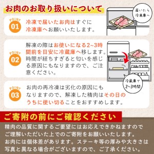 鹿児島県産黒毛和牛！曽於さくら牛ももスライス肉(約600g) 黒毛和牛 モモ肉 スライス【福永産業】A-17