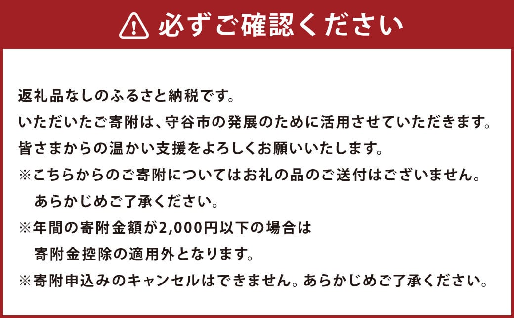 茨城県 守谷市への寄付 1,000円（返礼品はありません）