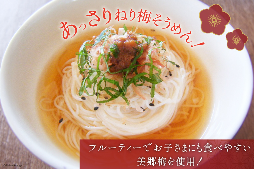 南高梅 梅おかか 100g×3袋 [農林産物直売所 美郷ノ蔵 宮崎県 美郷町 31ab0103] ねり梅 和え物 簡単調理 便利 あっさり さっぱり 国産 セット 詰め合わせ 宮崎県産 常温 送料無料