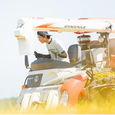 ふるさと納税 上越市 【令和6年産 2024年10月より順次発送】有機栽培米コシヒカリ【無洗米】5kg×1袋　新潟県上越産 |  | 03