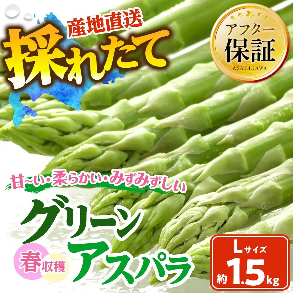 春収穫グリーンアスパラLサイズ（500g×3）約1.5kg（2027年6月上旬から発送開始）| アスパラ 北海道_05530