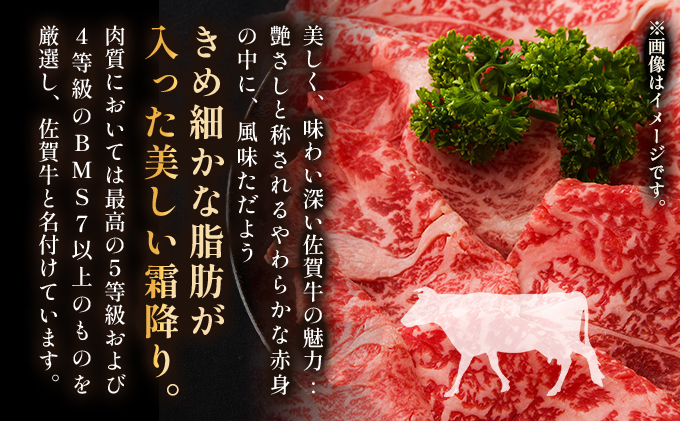 艶さし！訳あり！【A4～A5】 佐賀牛切り落とし 5kg (500g×10p)