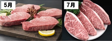 伊万里牛食べつくし 定期便 6回便 モモスライス入り ヒレステーキ 30万円コース J253