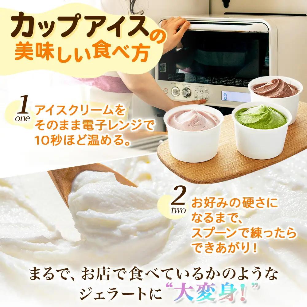 アイスクリーム ミルクココア ジェラート ココア 業務用 チョコ 2リットル 2L アイス 大容量 手作り 北海道 弟子屈町 634