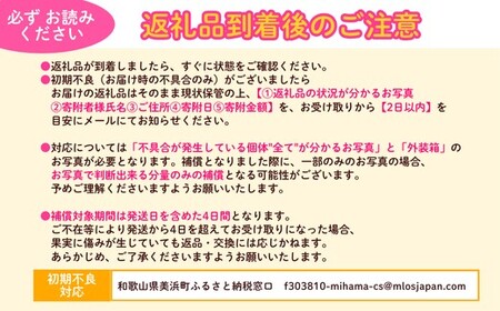 和歌山県産 白鳳 桃 5～8玉入り 秀品 先行予約| 和歌山県 白鳳 フルーツ 果物 くだもの 桃 もも 大玉 モモ ピーチ ギフト お取り寄せ 贈答用 秀 家庭用 自宅用 贈答品 化粧箱入