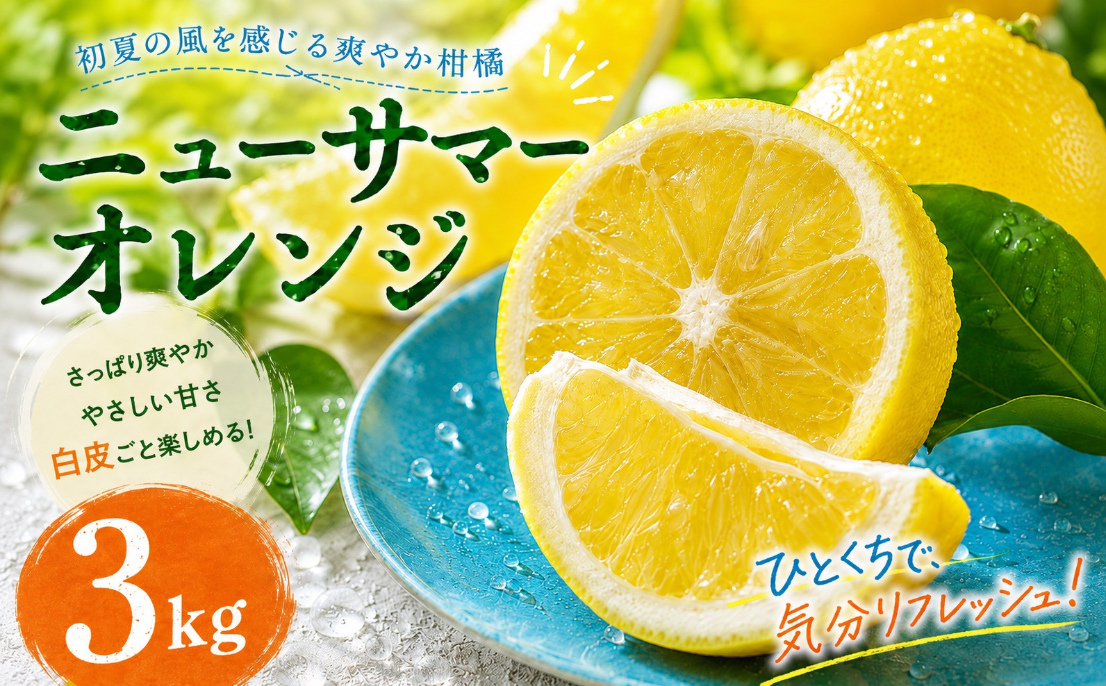 
                  【選ぶならこれ】 初夏の爽快感 【ニューサマーオレンジ】 3kg 愛媛県産 【2027年4月中旬頃から順次発送】 | みかん ミカン mikan 蜜柑 訳ありフルーツ 柑橘 果物 おすすめ お勧め お取り寄せ ギフト 愛媛県 松山市
                