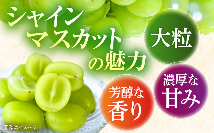 【2026年8月中旬以降発送開始】 シャインマスカット 3～4房 約2kg/マスカット シャイン ぶどう 葡萄/大村市/おおむら夢ファームシュシュ [ACAA481]
