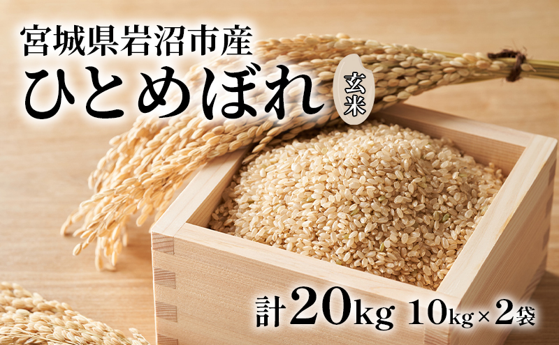玄米 ひとめぼれ 20kg (10kg×2) 米 ブランド米 単一原料米 10キロ 20キロ おこめ ご飯 ライス 宮城県産ひとめぼれ 東北 宮城県産 宮城米 宮城 宮城県 岩沼市