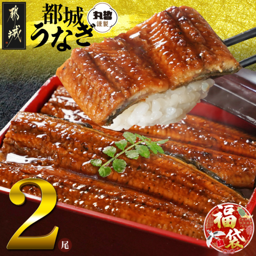 【福袋★2026】宮崎県育ちのうなぎ蒲焼2尾300g以上≪山椒・たれ付≫_13-M301-F2026