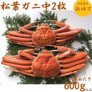 松葉ガニ 浜ゆで 600g以上 2枚 中サイズ タグ付き 蟹 かに 松葉蟹 浜下商店 | 54M